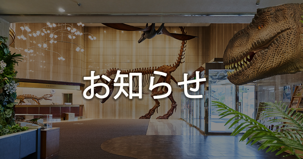 「いいとこ、堀りだくさん。キャンペーン」について【福井県】