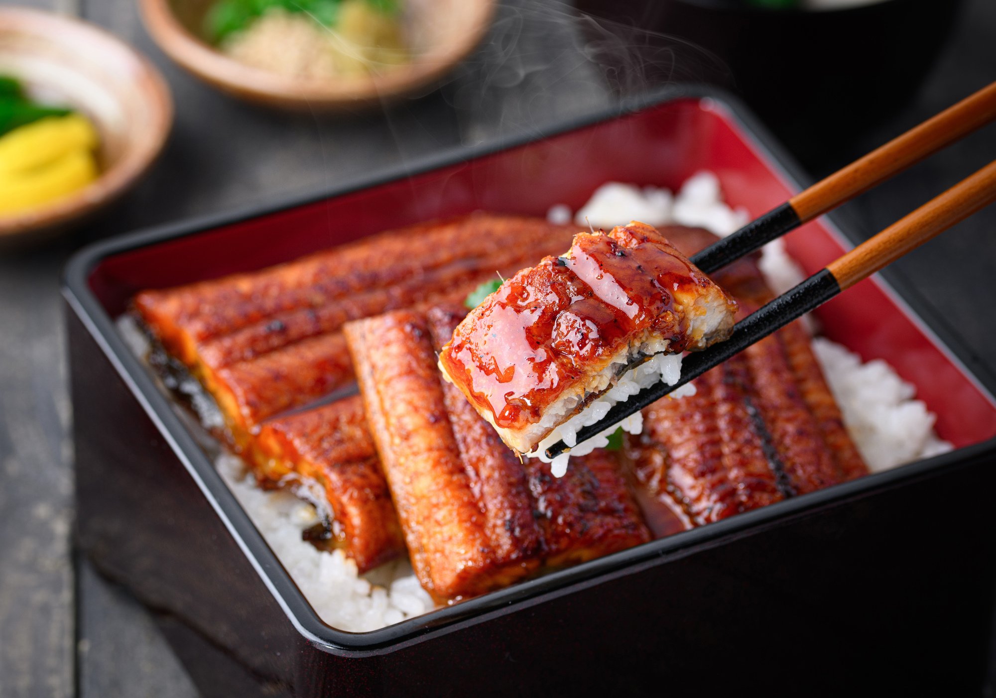 夏休み企画！夕食プラン7月1日より予約開始